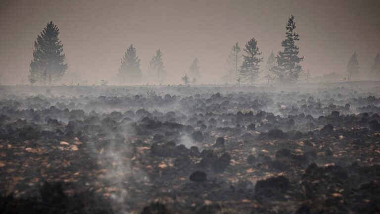 Belgium's fire of the century now 'under control,' local official says