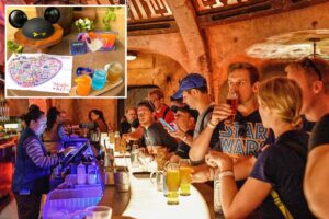The average price of a Disneyland cocktail now costs $21
