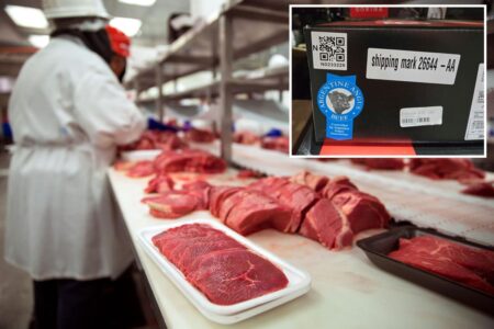 Nearly 30,000 pounds of raw beef sold in the US hit with high-risk recall after bypassing import inspections
