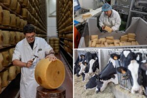 Inside Italy’s $405M cheese vaults that use Parmesan as loan collateral