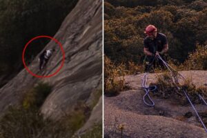 Firefighter dramatically rescues free climber stranded on Georgia rock face who called 911