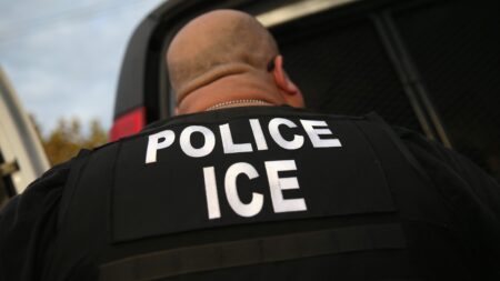 Illegal immigrant charged with brutal slaying one day after California judge released him