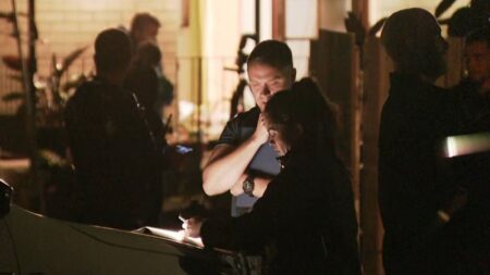 Police allege homeowner was murdered after house guests locked him out