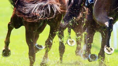 The future of WA racing could be up in the air as longtime boss quits