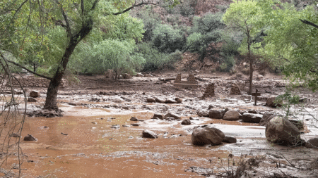 Urgent search underway for more than 20 people after Grand Canyon flash flood