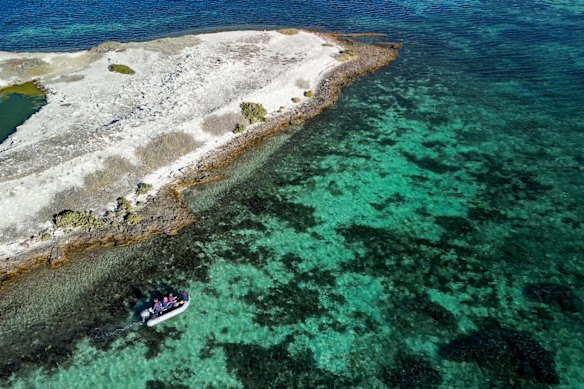 The Abrolhos Islands are a key focus for scientists looking to prepare wildlife populations for bird flu incursions.