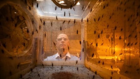 The Australian discovery that could turn mosquito bites into vaccine booster shots