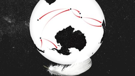 The two species NSW is racing to protect after fifth case of deadly virus