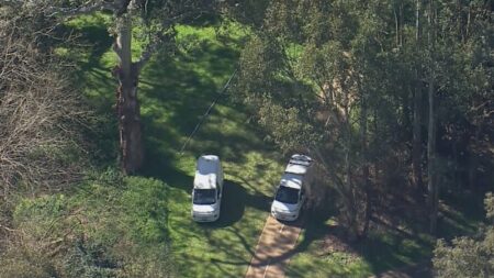 Police form strike force after body found in Baulkham Hills bushland