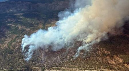 B.C. premier declares wildfire state of emergency