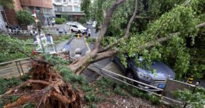Air Canada flights resume following Typhoon Dolphin in southern China