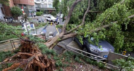 Air Canada flights resume following Typhoon Dolphin in southern China
