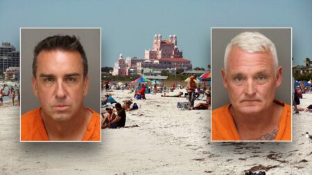 Florida business owners allegedly scattered 1,500 mothballs on beach to send endangered birds packing