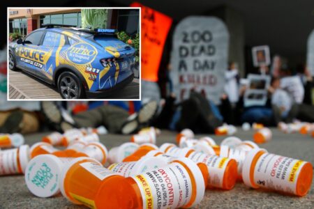 NJ towns ‘wasted’ $2.3M of opioid settlement on lavish purchases: ‘people are dying because of this’