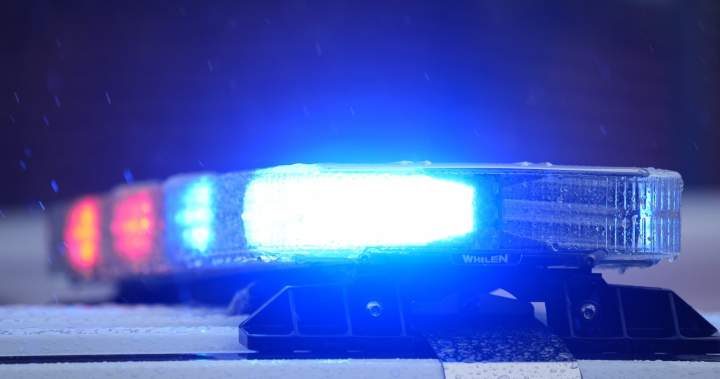 26% of gender-based homicide victims previously contacted police: StatCan
