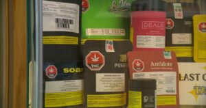 Ottawa pledges millions to study cannabis mental health, pregnancy impacts