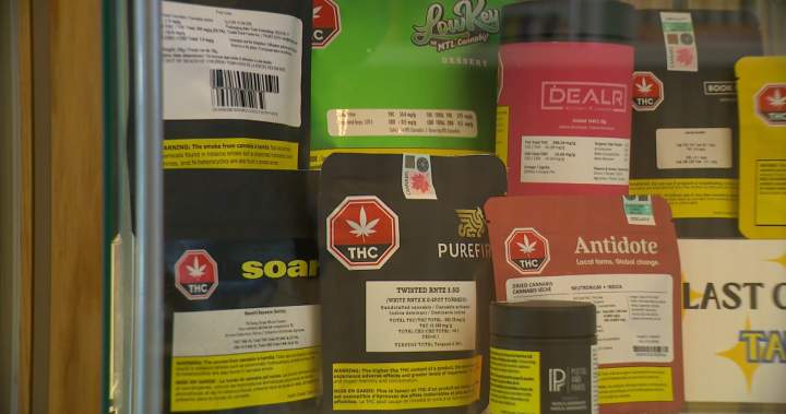 Ottawa pledges millions to study cannabis mental health, pregnancy impacts