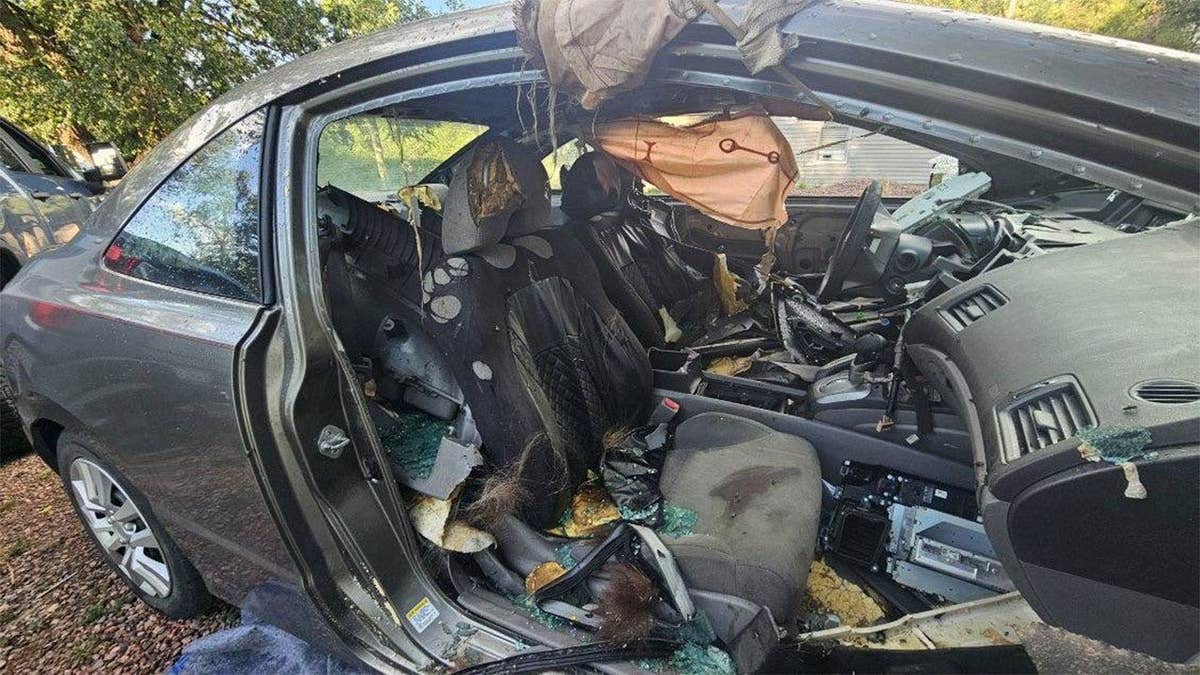 A Colorado Springs vehicle with shattered windows and extensive interior damage after a bear became trapped inside