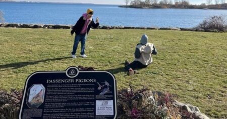 Heritage Toronto’s Plaque Friday videos showcase city’s history with viral moments