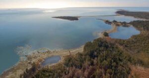 Whale sanctuary project secures 20-year Nova Scotia lease despite ongoing opposition