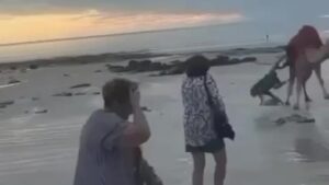 Camel bucks off riders on famous Broome beach tour