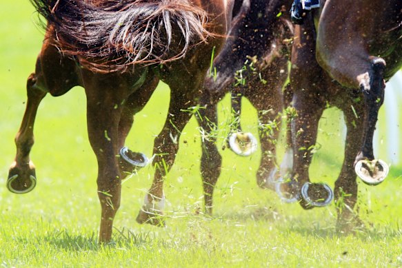 The state opposition has called out the future of racing in Western Australia after RWWA CEO Ian Edwards announced his resignation.