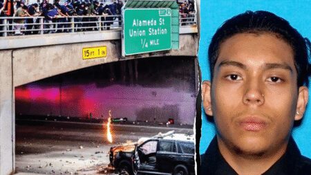 Illegal immigrant who helped torch CHP cruiser during LA anti-ICE riot learns his fate