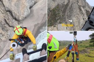 Dramatic moment paraglider who crashed into cliff is pulled to safety in harrowing rescue mission