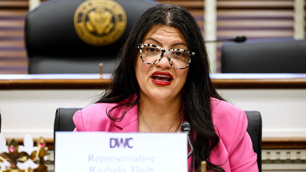 rashida-tlaib-hearing