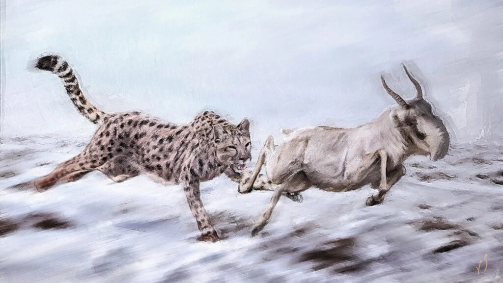 Was the ‘American cheetah’ a cheetah at all?