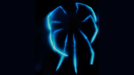 These deep-sea spiders give off an otherworldly glow