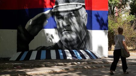 EU warns Serbia Mladić funeral is 'important test' for membership bid