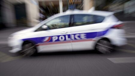'Sickenig' racist remarks: French police under investigation