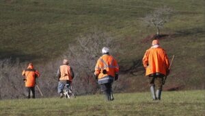French billionaire Olivier Bouygues on trial in illegal hunting case