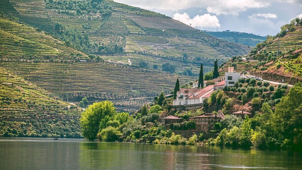 The best food and drink tours worth travelling for