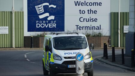 'Protest' at Port of Dover causes delays to ferry services