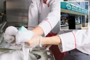 Laid-off tech workers rush to apply for $50-an-hour dishwashing job: ‘We’re looking for athletes’
