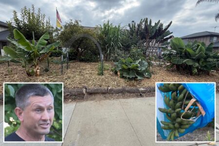 Exclusive | California man slams city after being fined for growing food at home: ‘I don’t trust the system’