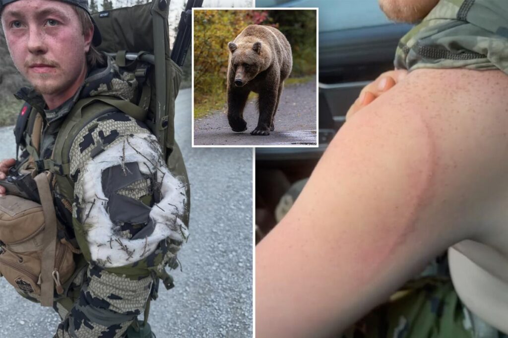 Alaska moose hunter remarkably survives bear attack: ‘Glad I blacked out’