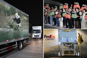 2 giant pandas set off to Atlanta zoo from China after Xi-Trump summit