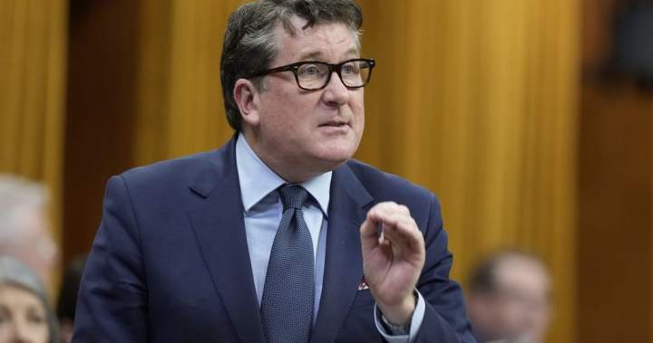 MP calls on New Brunswick to reject proposed AI data centre in open letter to premier