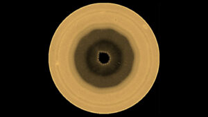 New Hubble images reveal a bizarre decagon over Saturn’s south pole