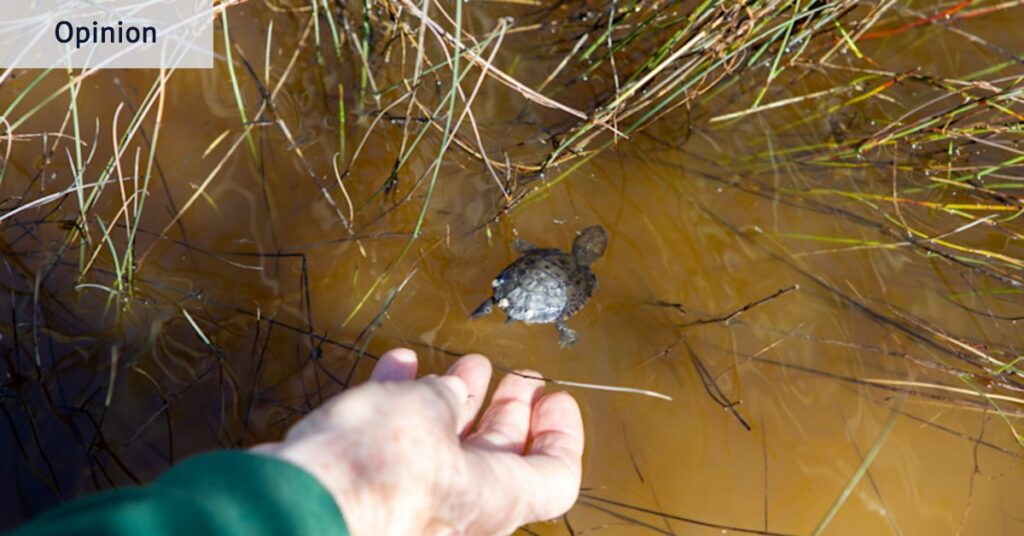 It’s not enough for WA to act only once a species is in trouble