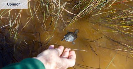 It’s not enough for WA to act only once a species is in trouble