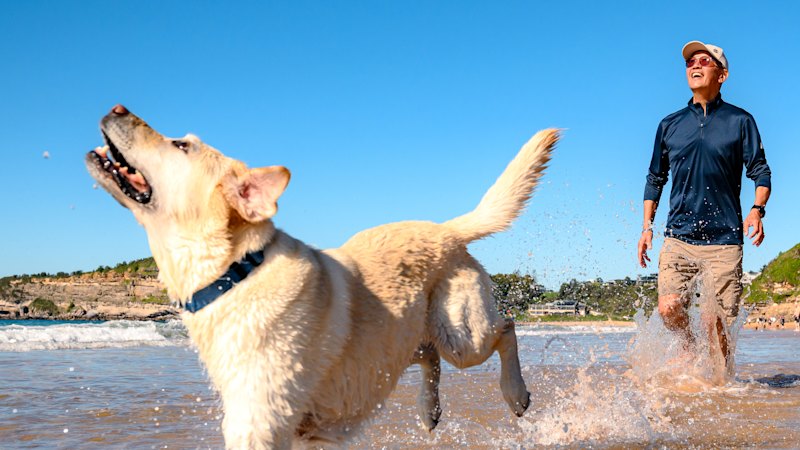Northern Beaches Council to decide the future of off-leash access