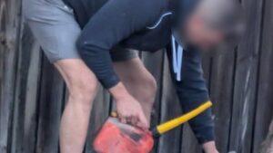 Sydney tree vandal avoids conviction