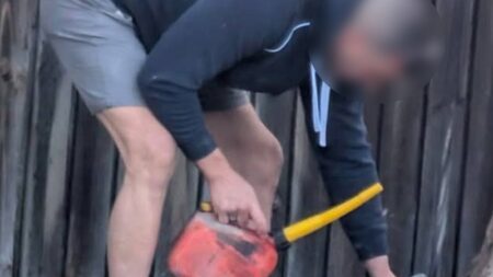 Sydney tree vandal avoids conviction