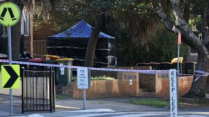 mother of newborn baby dumped in Sydney rubbish bin found by police