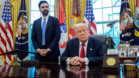 Trump to meet with Mamdani in New York amid high-stakes midterm push
