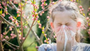 How to prepare for a high-risk pollen season and use the new forecasting system